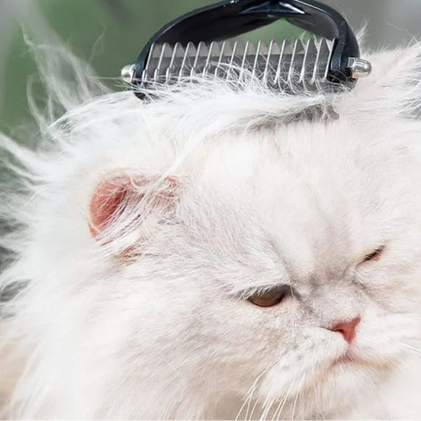 Cepillo Mágico para Gatos