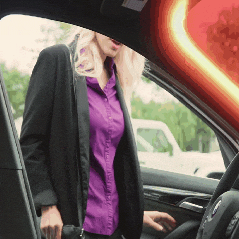 Parasol UV para Coche