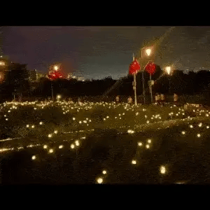 EcoGlow™️  - Luces de Jardín con luz solar