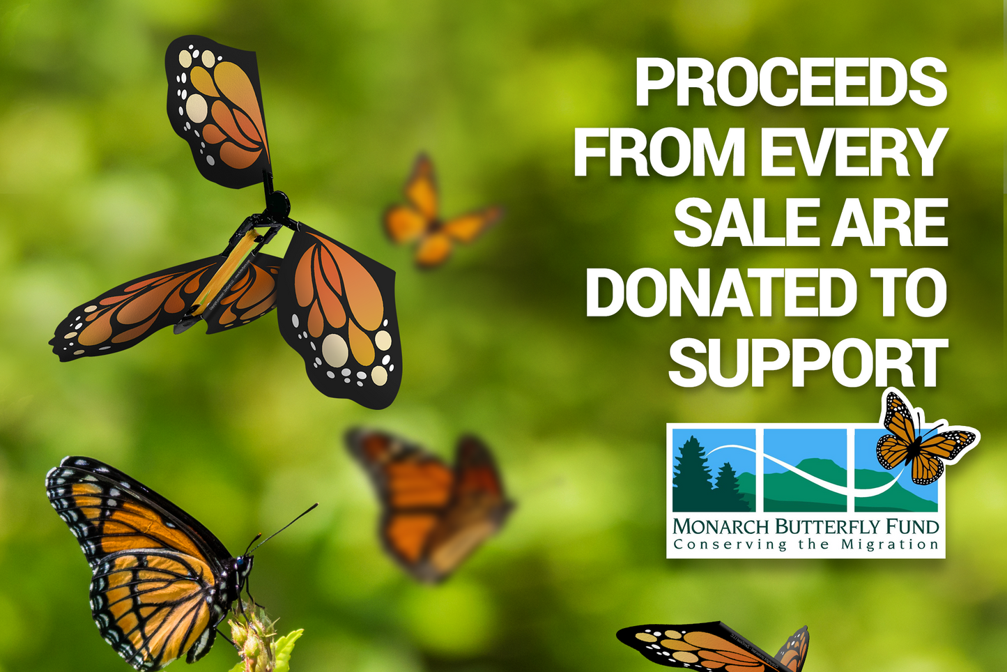 Mariposas Voladoras de Sorpresa Mágica