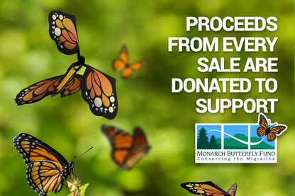 Mariposas Voladoras de Sorpresa Mágica