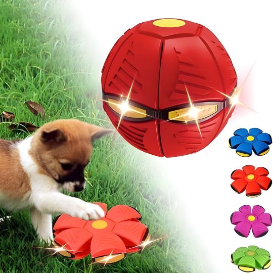 Fun Disc Ball- PELOTA PLATILLO BOLA MÁGICA